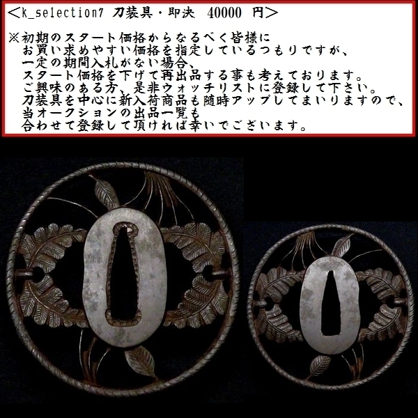 刀装具 #0872】 生まれ良き上級透かし鍔 植物図 鉄地 透かし鍔 桐箱付