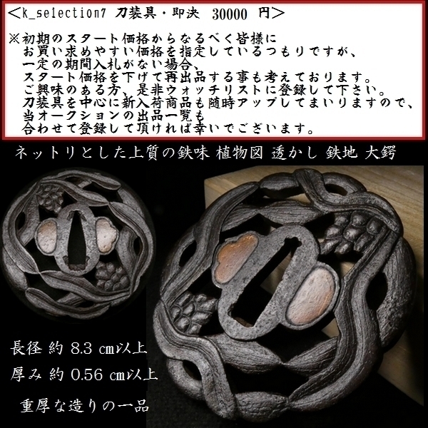数々の賞を受賞 【刀装具 #1761】 (鍔) 無銘 植物図 透かし 鉄地 大