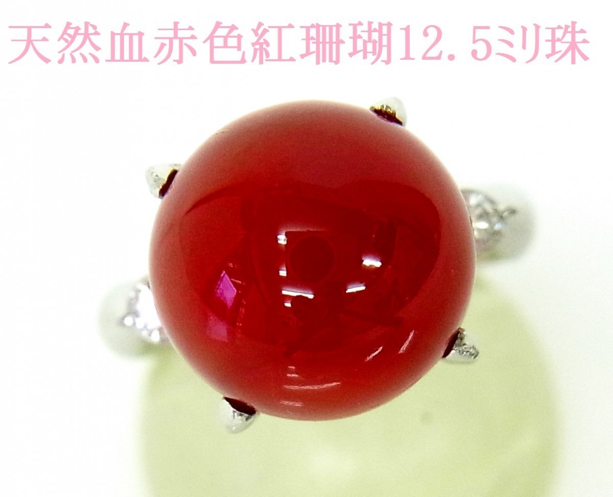 売れ筋介護用品も! 12.5ミリ丸珠/天然牛血色/紅珊瑚/さんご/プラチナ