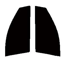 ダークスモーク　１３％　運転席、助手席　イスト　（ist）　NCP60・NCP61・NCP65　カット済みフィルム　国産_画像1