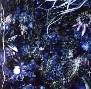 ＯＮＥＮＥＳＳ　Ｍ（通常盤）（ＳＨＭ－ＣＤ）／ＳＵＧＩＺＯ（ＬＵＮＡ　ＳＥＡ）_画像1