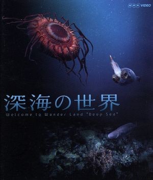 深海の世界（Ｂｌｕ－ｒａｙ　Ｄｉｓｃ）／（ＢＧＶ）_画像1