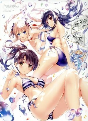 冴えない彼女の育てかた（フラット）　１（完全生産限定版）／丸戸史明（原作、シリーズ構成、脚本）,松岡禎丞（安芸倫也）,安野希世乃（加_画像1