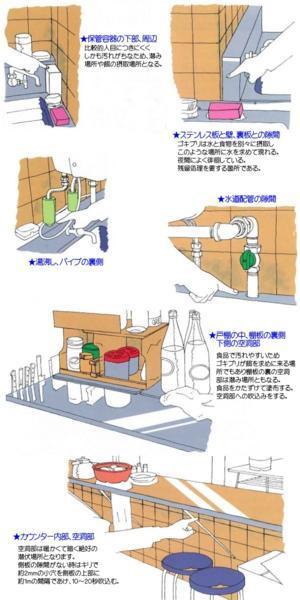 住化エンバイロメンタルサイエンス エヤローチP フラッシュ&ノックダウン PCO専用ゴキブリ駆除剤◆Gよ、さらば！891円_画像3