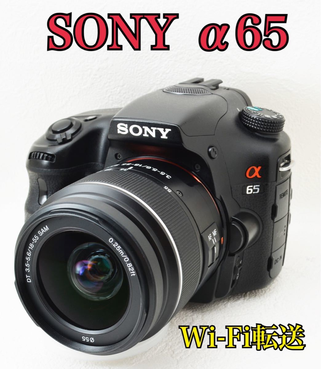 日本最級 高速連射が得意 SONY ソニーα100 一眼カメラ ダブルレンズ