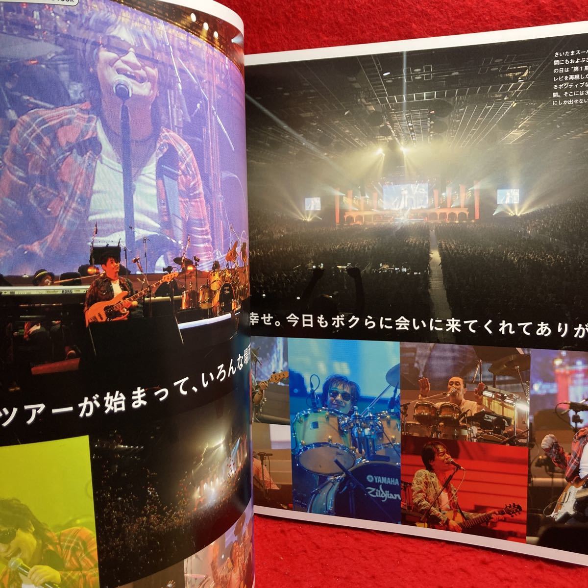 ○STARDUST REVUE LIVE TOUR B.O.N.D スターダストレビュー ビーオーエヌディー パンフレット 2012 根本要 柿沼清史 寺田正美 林紀勝_画像6