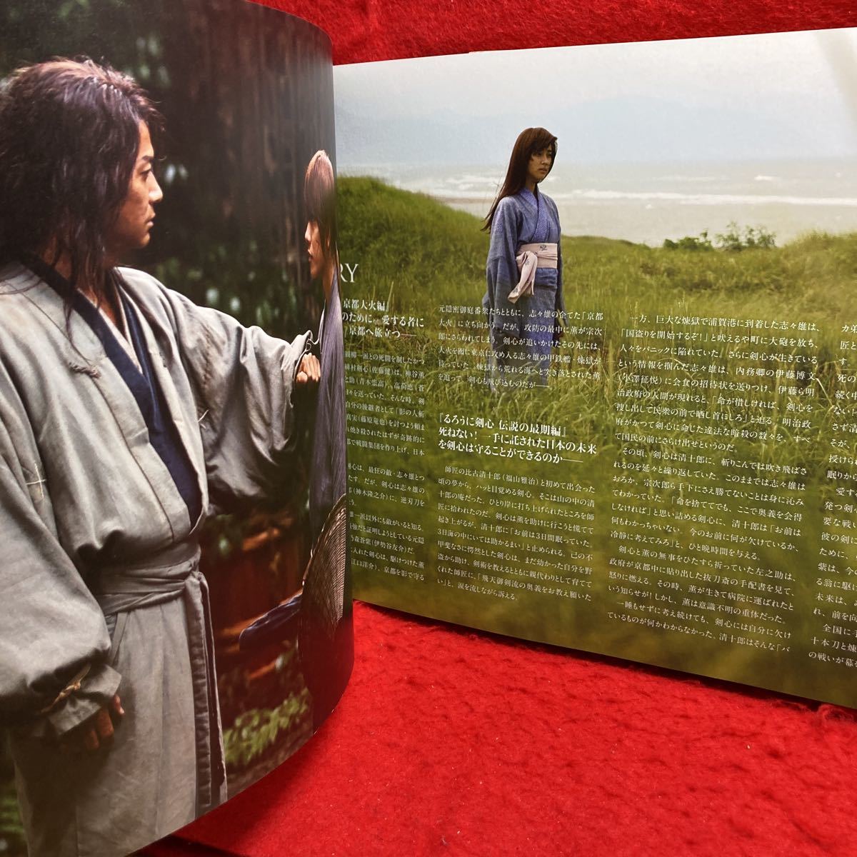 ▼映画 るろうに剣心 伝説の最期編 RUROUNI KENSHIN FEEL THE FUTURE 2014 パンフレット 佐藤健 武井咲 青木崇高 蒼井優 土屋太鳳 藤原竜也_画像8