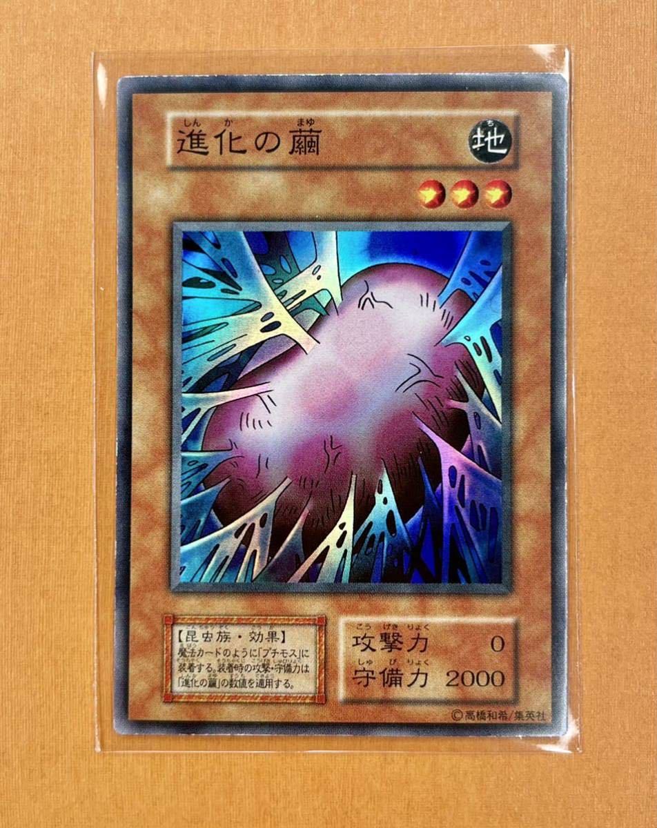 遊戯王 進化の繭 3枚セット ロンファB 最大89%OFFクーポン