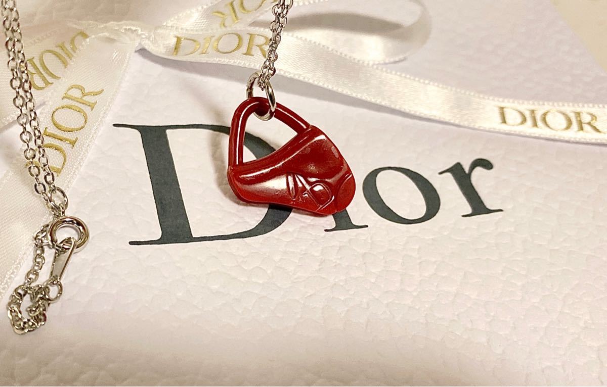 新品未使用 正規品 一点のみ クリスチャン ディオール Christian Dior