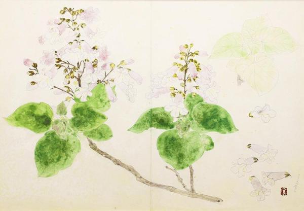 【真作】絵画 杉山誠治 油彩6号 マーガレット 華やかな花束 自然の美 V33 i-img600x416-