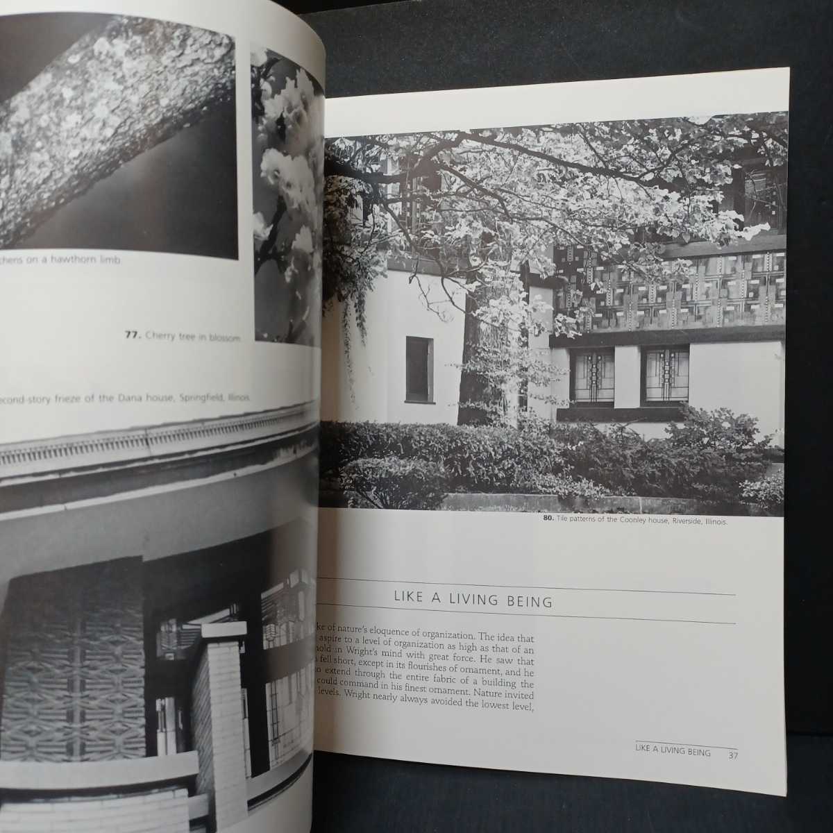 フランク・ロイド・ライト「Frank Lloyd Wright: Architecture and Nature, with 160 Illustrations」落水荘、ロビー邸、グッゲンハイム_画像8