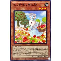 ☆新品未使用☆遊戯王　花と野原の春化精　POTE-JP018・ノーマル・1枚_画像1