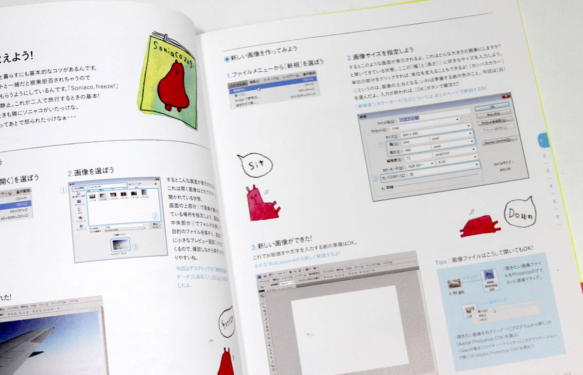 DVD attaching Photoshop study book [ photo shop. drill!] Hasegawa Anna # beginner base Web designer the first . novice for the first time. easy introduction 