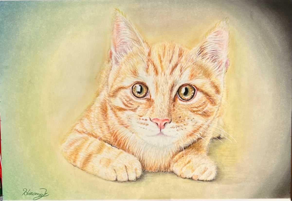 猫　ねこ　ネコ　イラスト　原画　手描き　色鉛筆画　パステル画