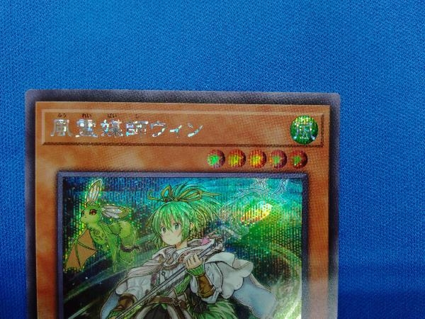 くらしを楽しむアイテム 芋様専用 風霊媒師ウィン 25th クォーター