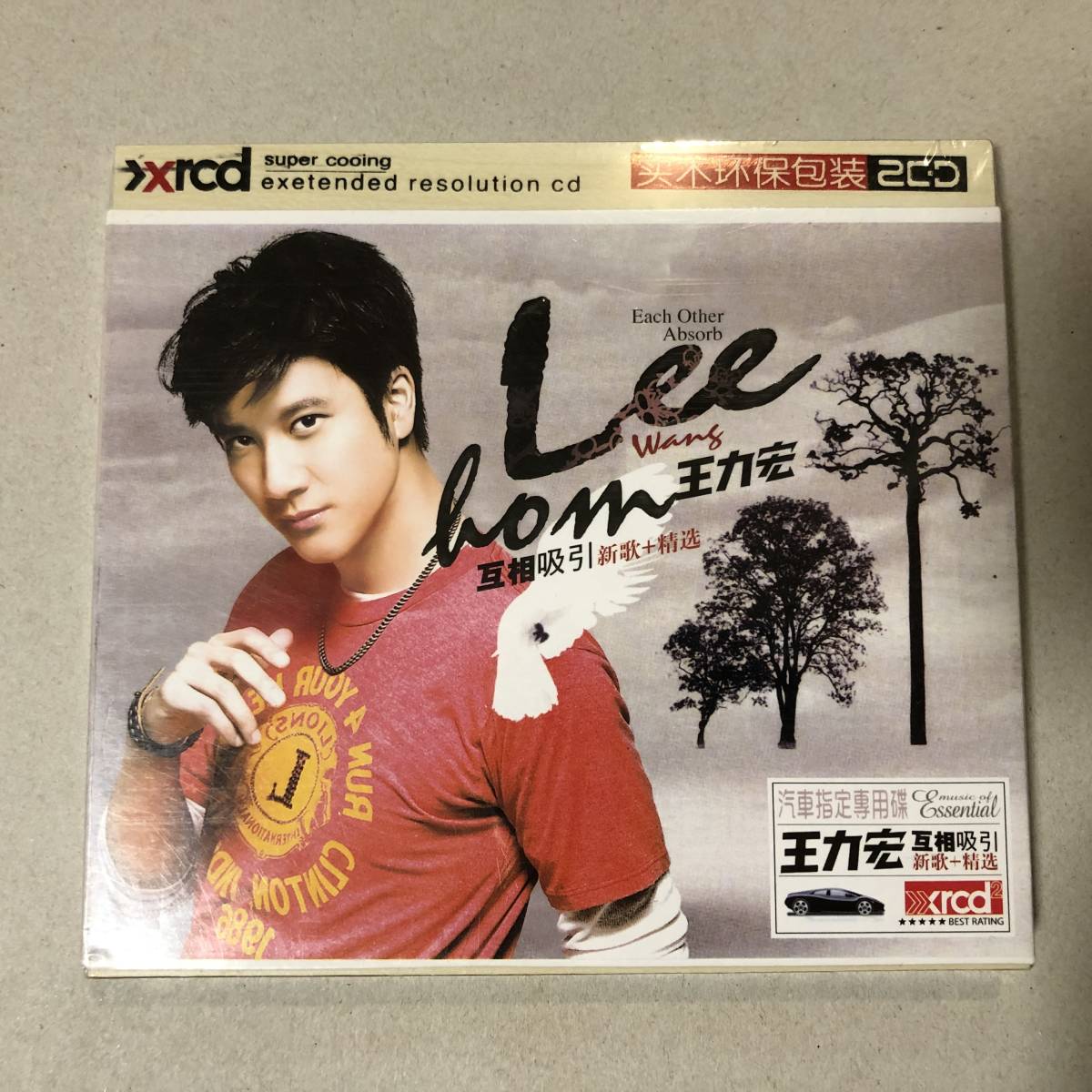 王力宏 ワン・リーホン Wang Leehom CD ⑥ アジア 中国 香港 台湾 ポップ C-POP udy583_画像1