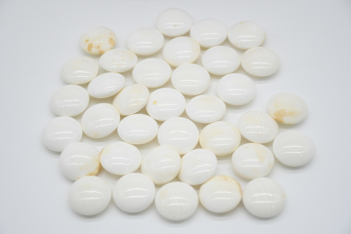 蛤碁石ブルーラベル 36号 碁石 | www.vinoflix.com