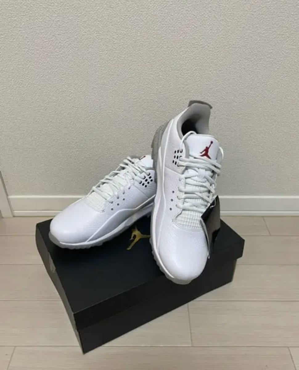 安全NIKE Jordan ADG3 新品 28cm US10 未使用 シューズ(男性用