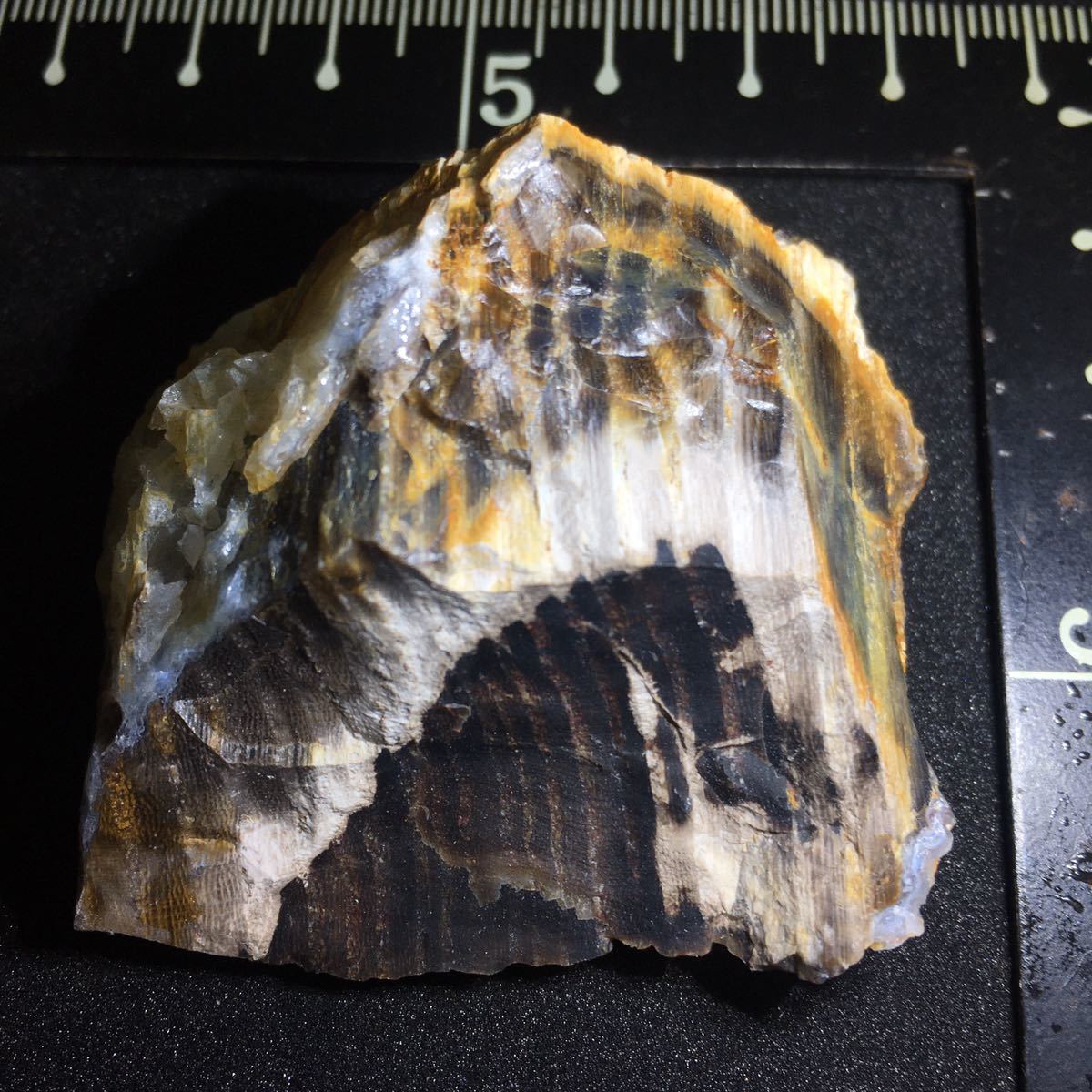 瑪瑙まみれの珪化木 国産鉱物標本 木の化石 玉髄 水晶 碧玉の画像1