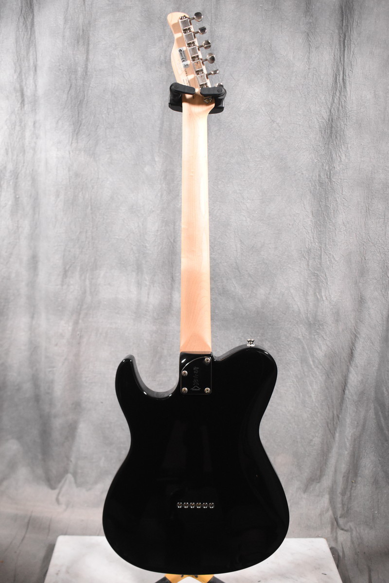 FGN FUJIGEN フジゲン エレキギター Boundary BIL-RHH | investigacion