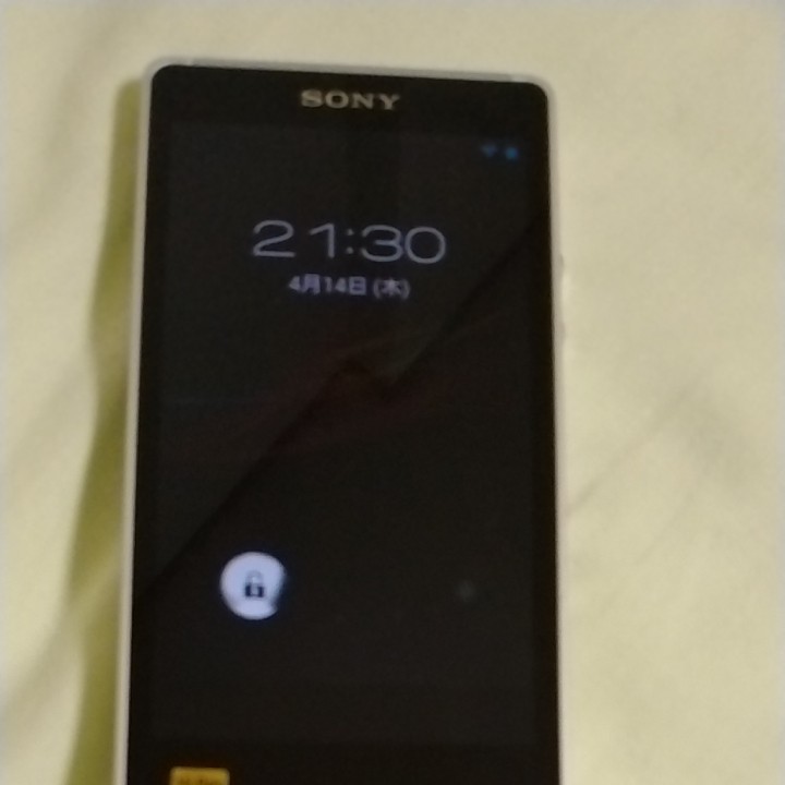 SONY ウォークマン ZX NW-ZX1 | bedouingardenvillage.com
