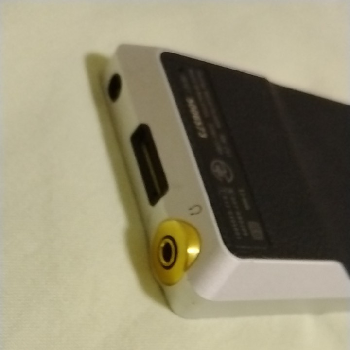 SONY ウォークマン ZX NW-ZX1 | bedouingardenvillage.com