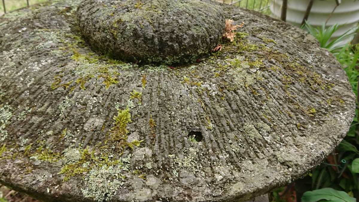 庭石 石灯篭 古民具 造園 ガーデニング 和風庭園 天然素材 苔付き