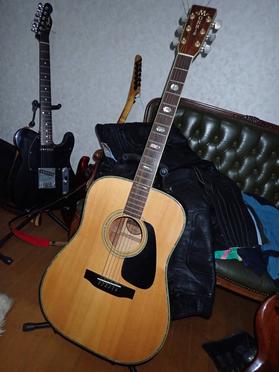 Morris モーリス TF-801 ハカランダ 楽器/器材 アコースティックギター