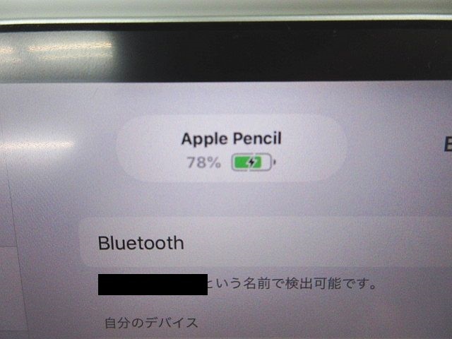 Apple Pencil 第2世代 MU8F2J/A A2051 iPad用 タッチペン アップル 