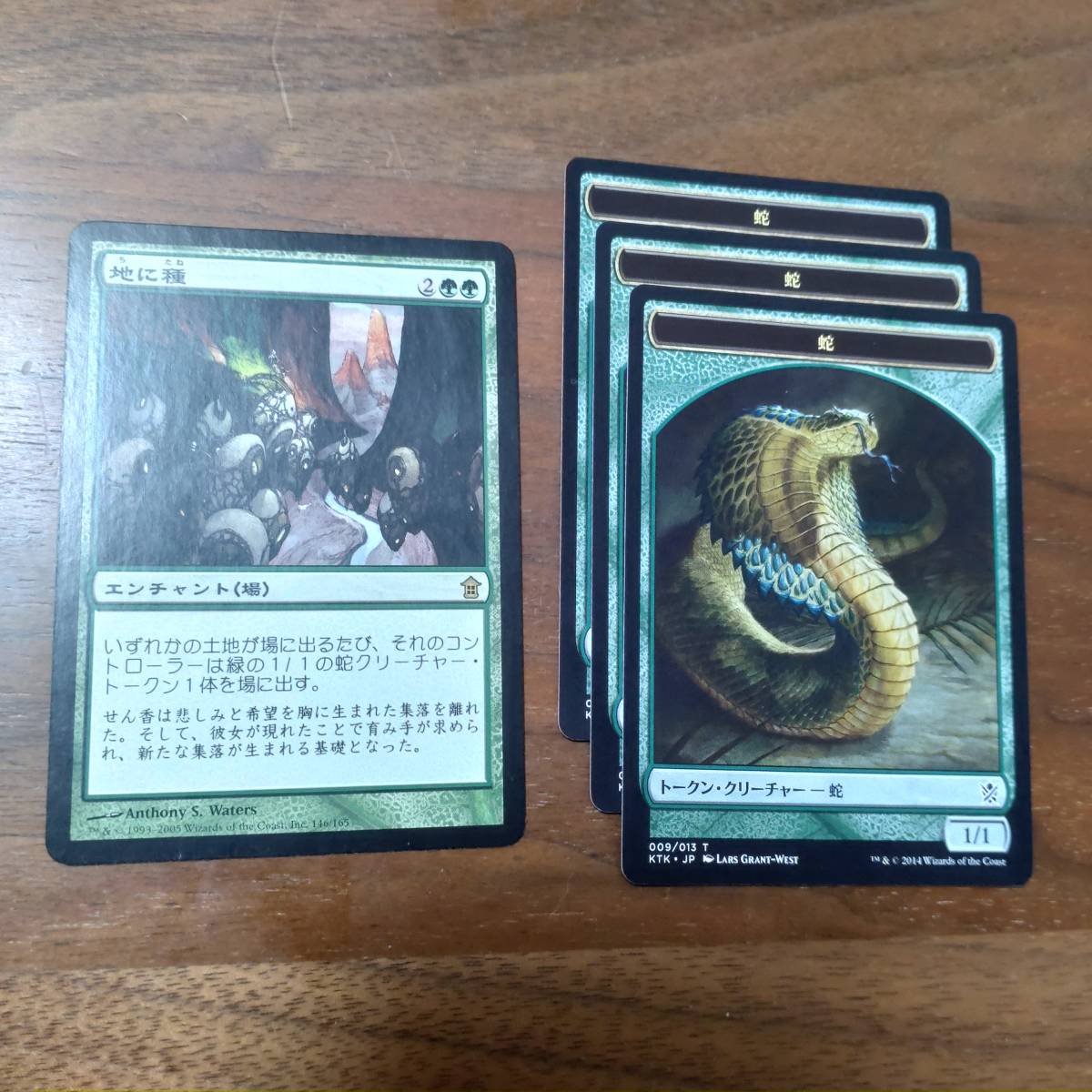 MTG/地に種/ノーマル1枚/トークン3枚/神河救済/レア/4枚/中古品_画像1