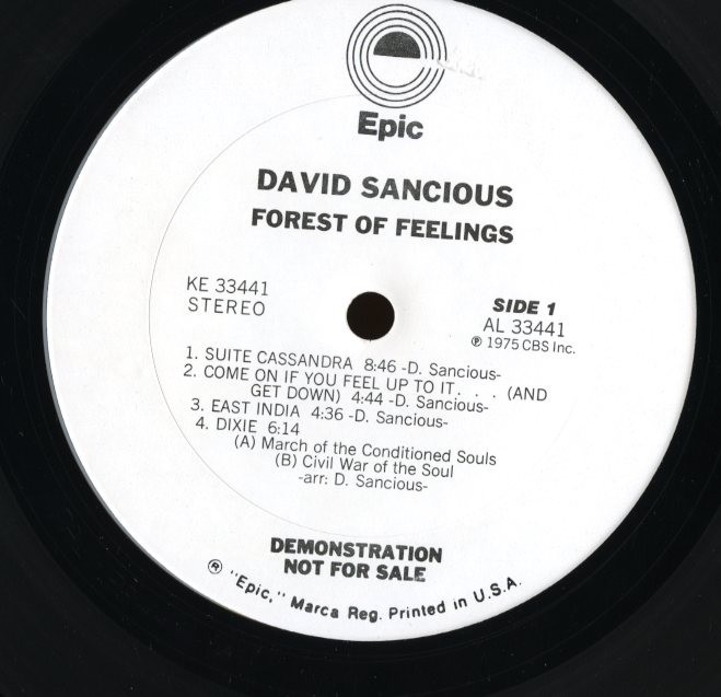 75年 US Epic プロモ白lbl. David Sancious / Forest Of Feelings [KE33441] Jazz Fusion Billy Cobham Bruce Springsteen 変拍子 [VOX6]_画像3