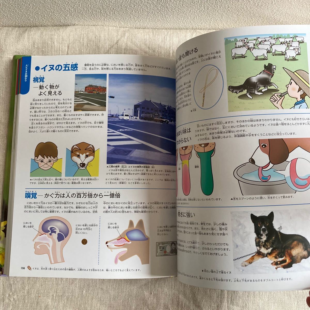 学研の図鑑　イヌの図鑑