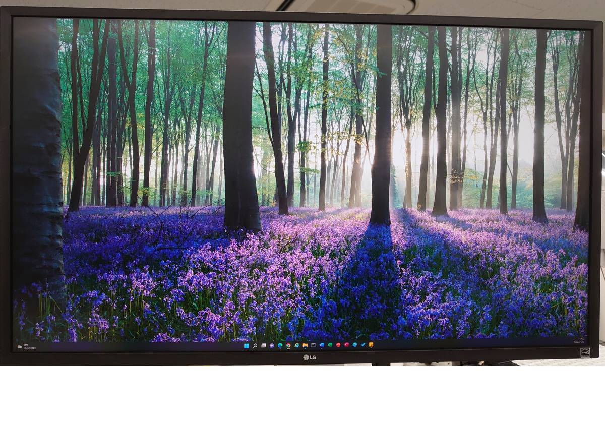 □美品□LGエレクトロニクス 31.5インチインチ 4K液晶モニタ (3840