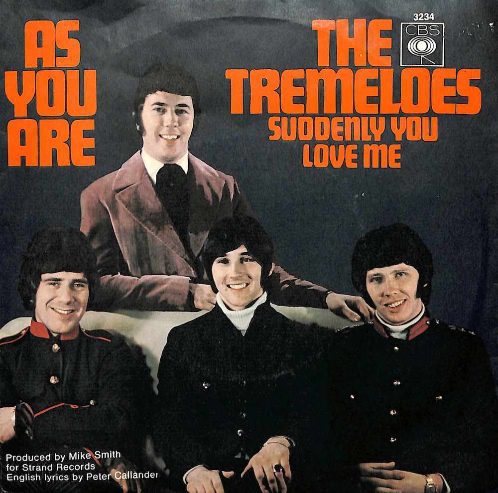 242457 TREMELOES / As You Are / Suddenly You Love Me(7)_画像1