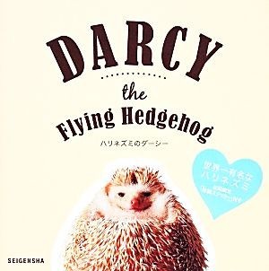 ハリネズミのダーシー ＤＡＲＣＹ　ｔｈｅ　Ｆｌｙｉｎｇ　Ｈｅｄｇｅｈｏｇ／塚本翔太【著】_画像1