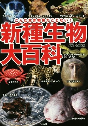 新種生物大百科 こんな生き物見たことない！／今泉忠明_画像1