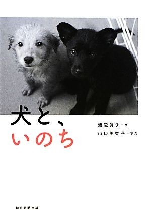 犬と、いのち／渡辺眞子【文】，山口美智子【写真】_画像1