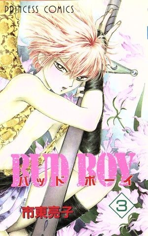 ＢＵＤ　ＢＯＹ(３) プリンセスＣ／市東亮子(著者)_画像1