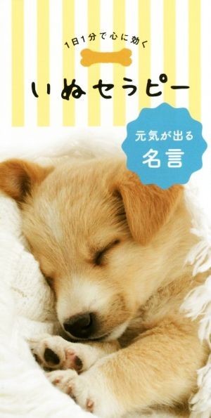 いつでも送料無料 いぬセラピー 元気が出る名言 1日1分で心に いつでも送料無料 いぬセラピー 元気が出る名言 1日1分で心に