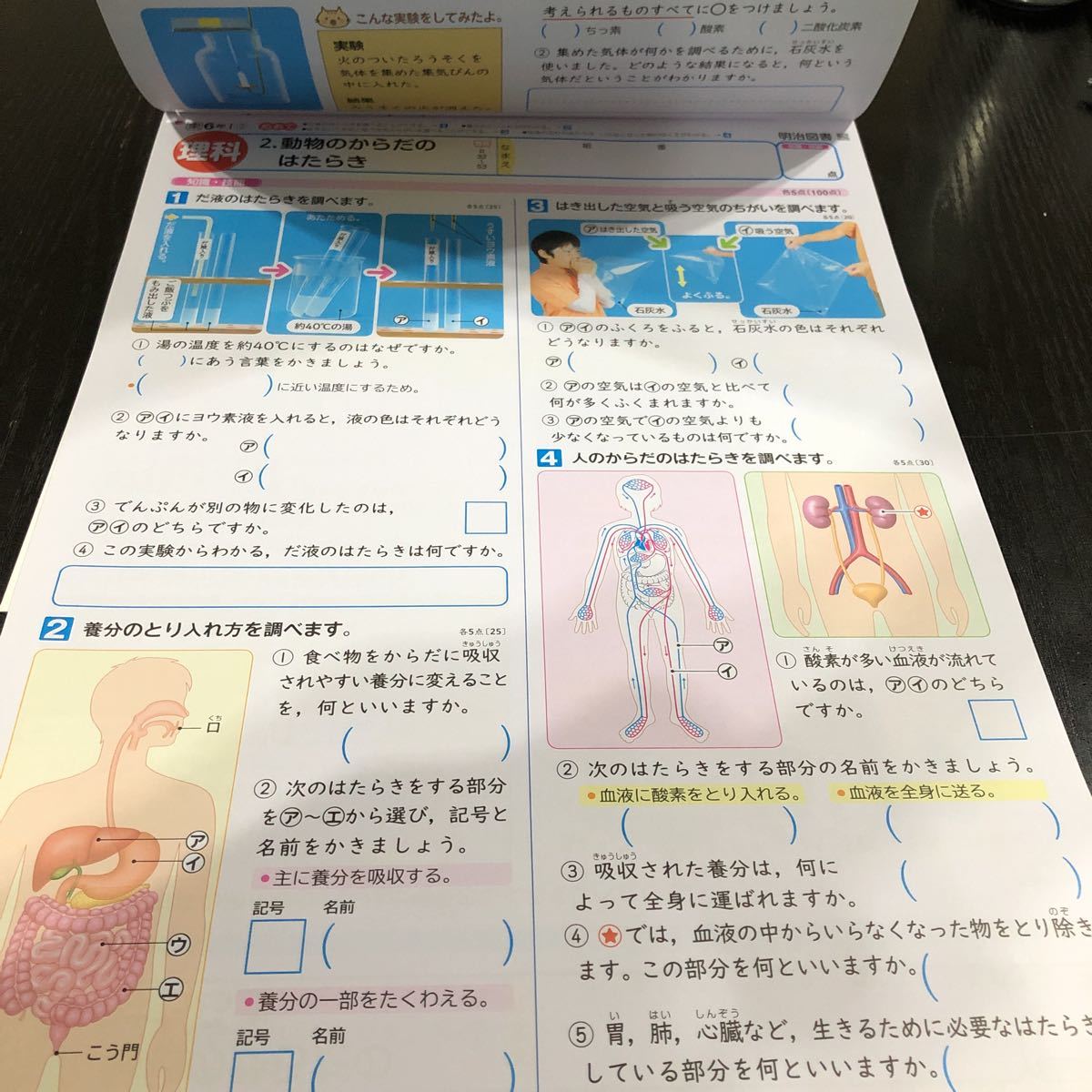 ケ90 非売品 基礎基本理科A 6年生 学習 問題集 ドリル 小学 算数 ケ90 非売品 基礎基本理科A 6年生 学習 問題集 ドリル 小学 算数