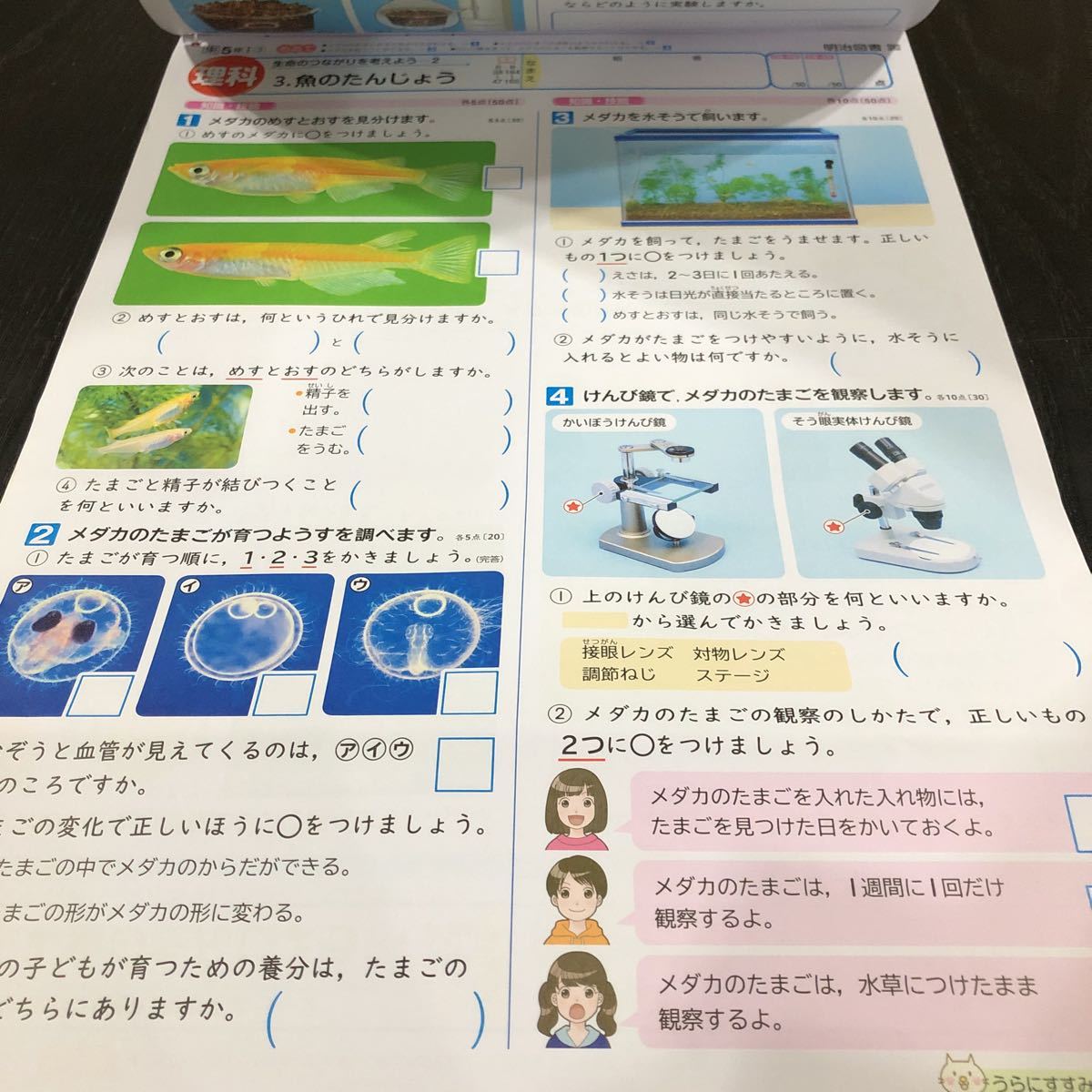 塾】小5第1回オリジナルテスト | 2027中学受験 一人息子の学習日記