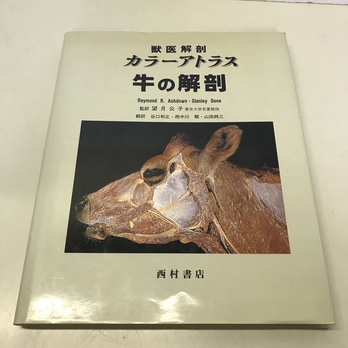 220428☆B08☆獣医解剖 カラーアトラス 牛の解剖 望月公子 谷口 220428☆B08☆獣医解剖 カラーアトラス 牛の解剖 望月公子 谷口