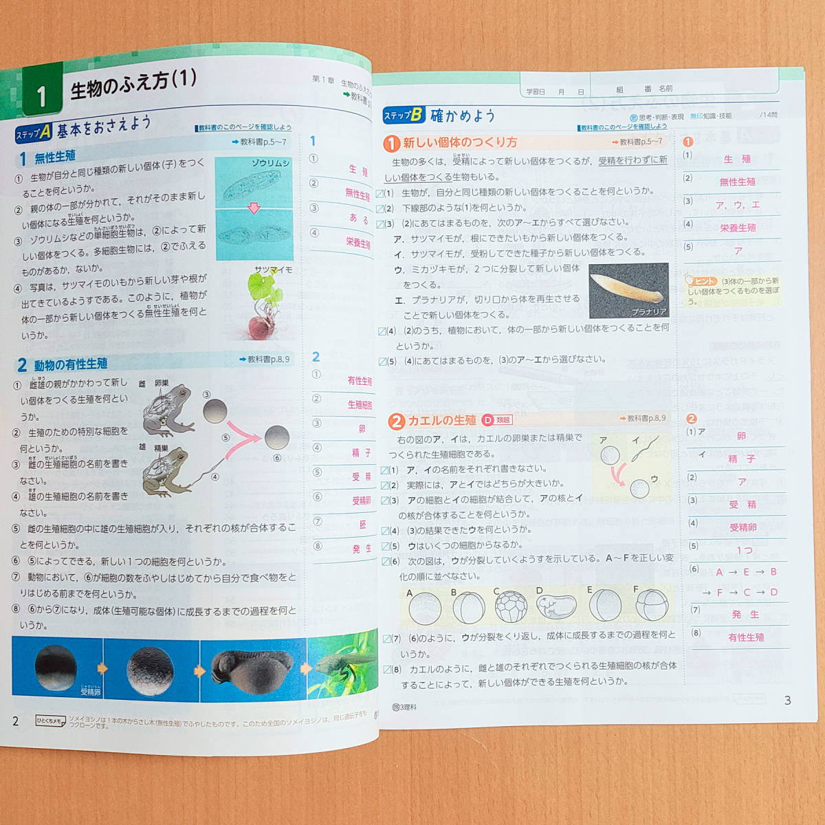 割引クーポン 答え 啓林館版 教師用 教育同人社 1年 理科 新学習指導要領 絶対評価プリント 令和4年対応 解答 啓 啓林 観点別評価プリント 中学教科書準拠 Reachahand Org