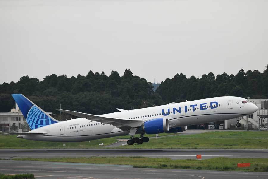 即決！UA ユナイテッド航空 ANA 全日空 日本国内航空券 800マイル