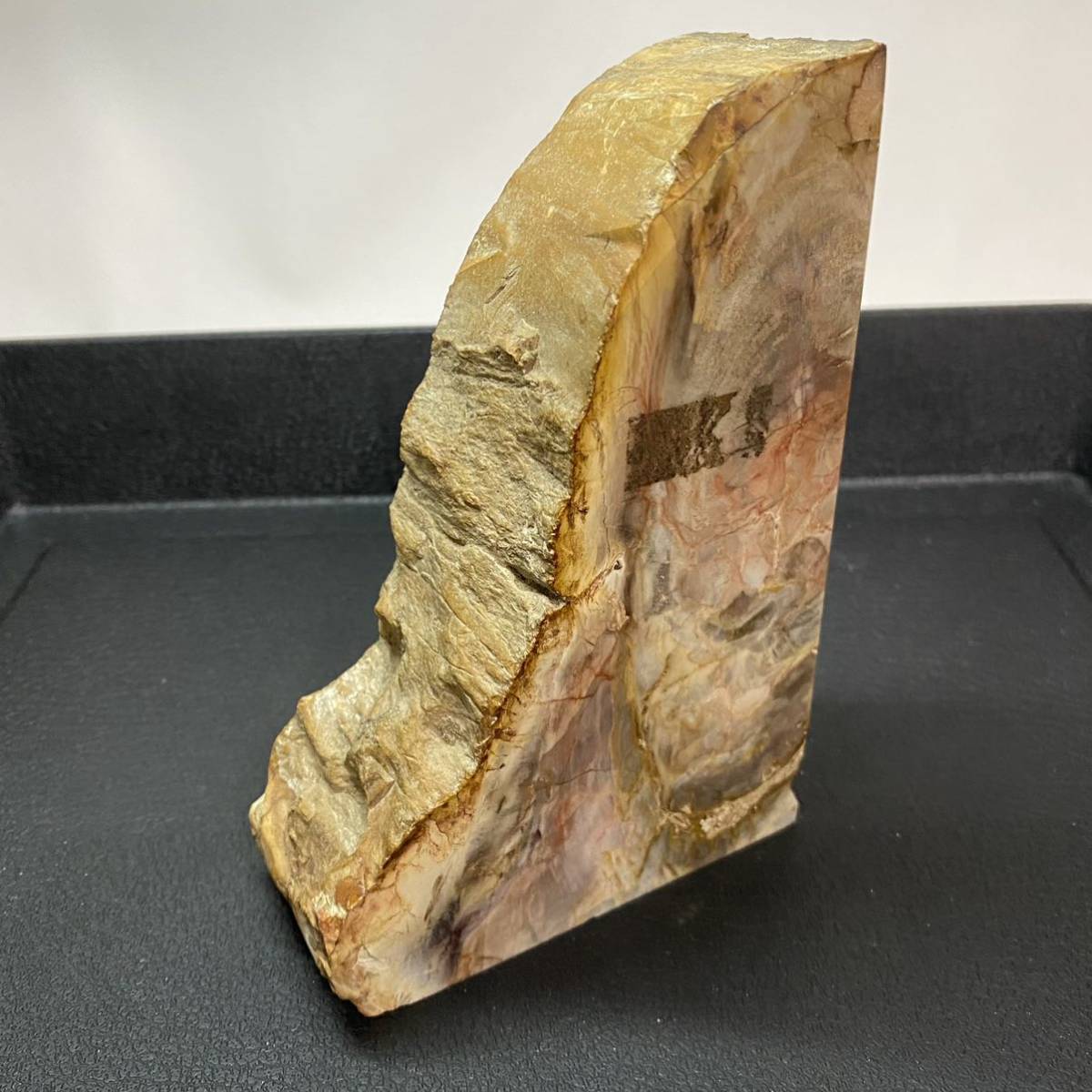 珪化木 木の化石 鑑賞石