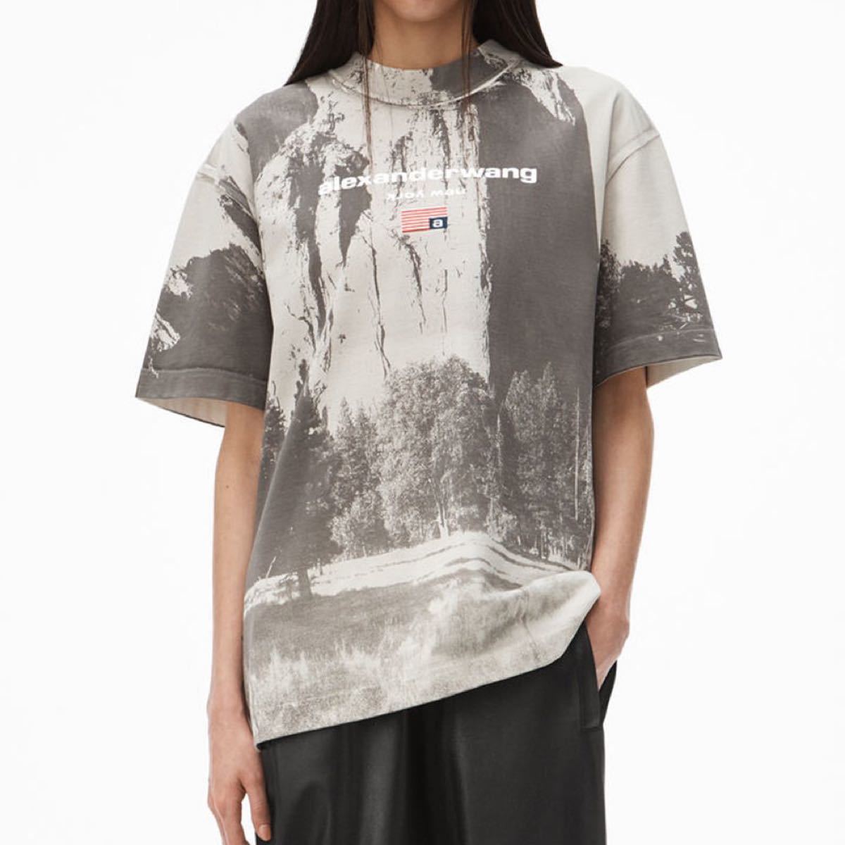 ALEXANDER WANG(アレキサンダーワン)Tシャツ miraath.net