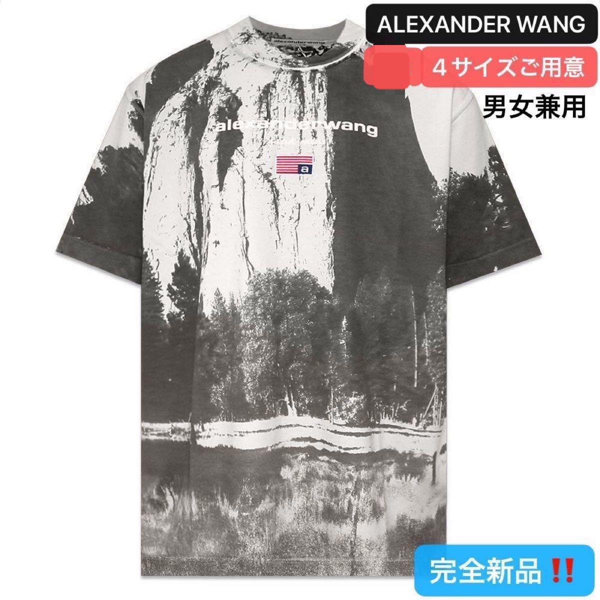 偉大な Alexander wang アレキサンダーワン ピアス honeyhiraad.ir