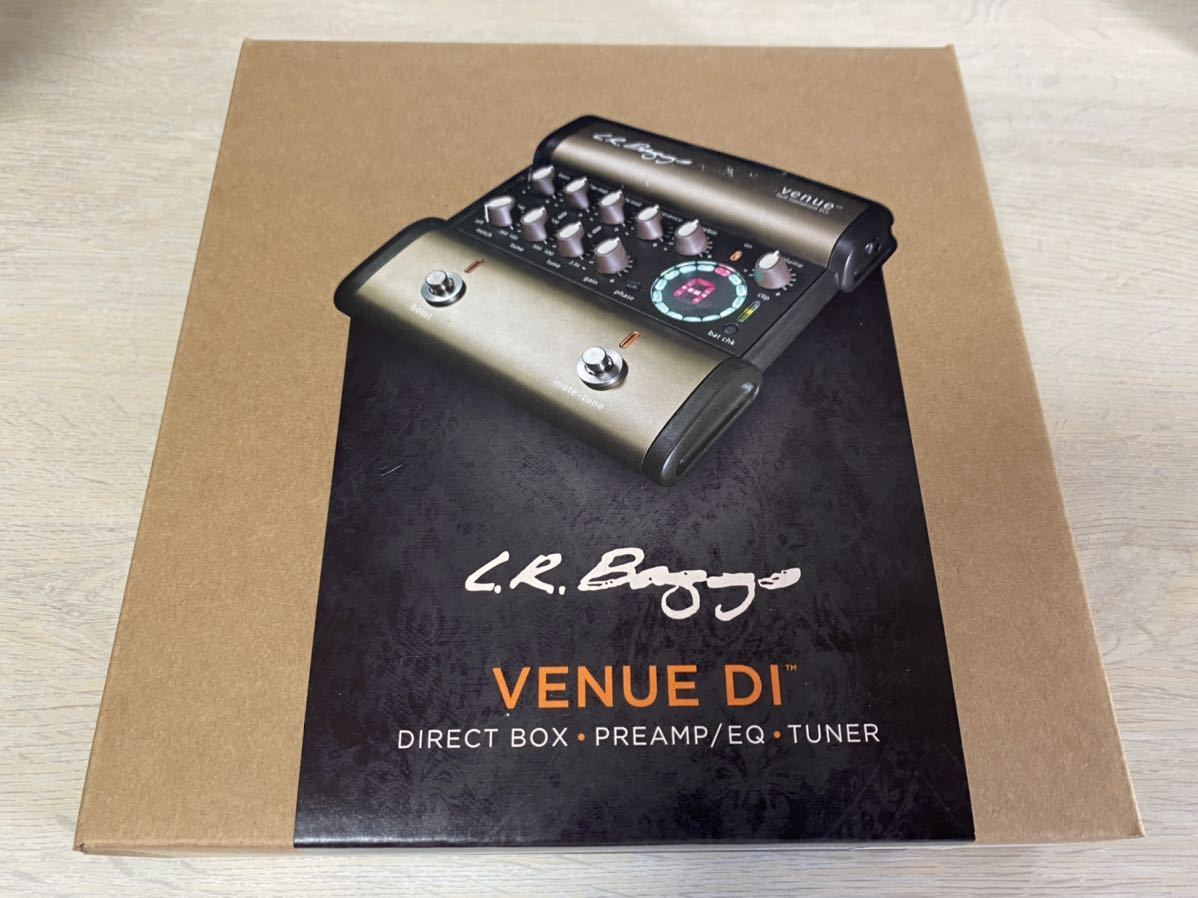 L.R.Baggs ( エルアールバックス ) Venue DIアコースティックギター
