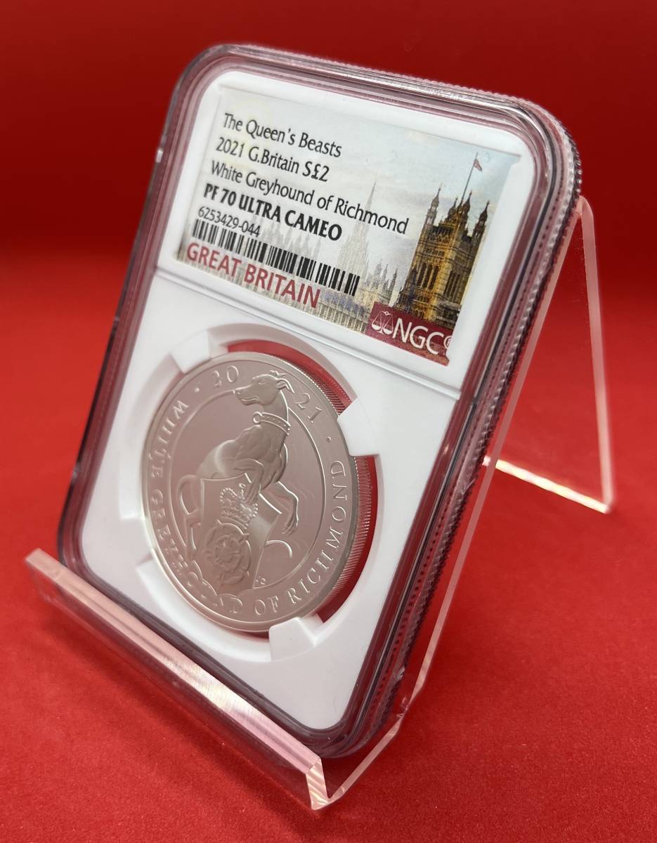NGC最高評価】2021年 イギリス クイーンズビースト グレイハウンド 2