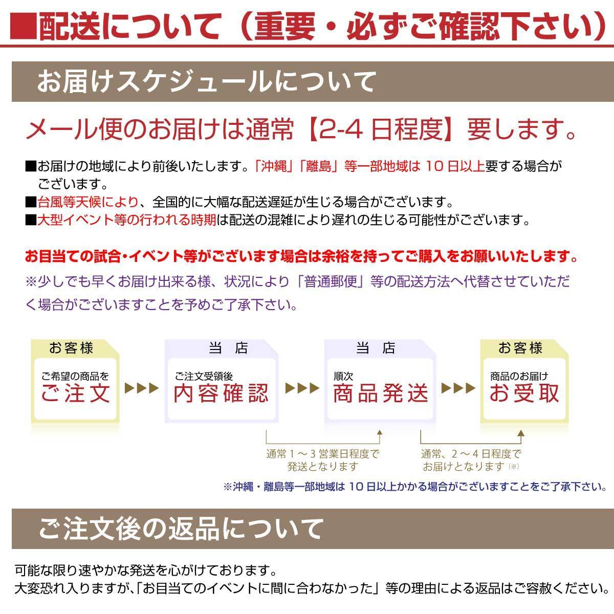 ギニア共和国 国旗 フェイスシール タトゥシール 【 ワールド対応ステッカー ☆ サッカー・野球 ラグビー 代表応援グッズ♪_画像7